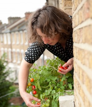 Naomi looking down picking tomatoes