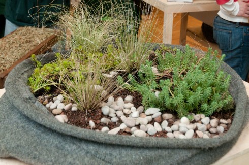 Very friendly Green roof company, family run and community spirited