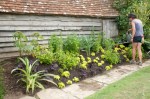 New border planted up at Great Dixter, August&nbsp;2011