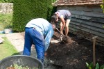 Perparing the soil in a bed at Great Dixter, August&nbsp;2011