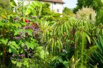 The lush Exotic Garden at Great Dixter, August 2011