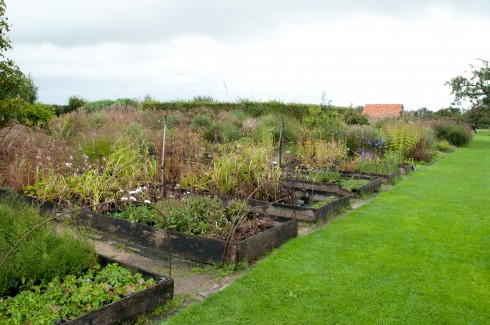 Nursery ay Jardin Plume