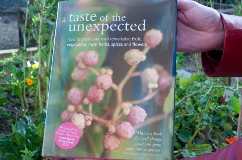Mark Diacono's taste of the unexpected