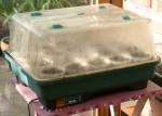 Large heated propagator