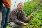 Charles Dowding in&nbsp;Polytunnel