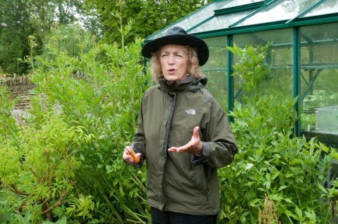Judith Hann amongst the Lovage 3
