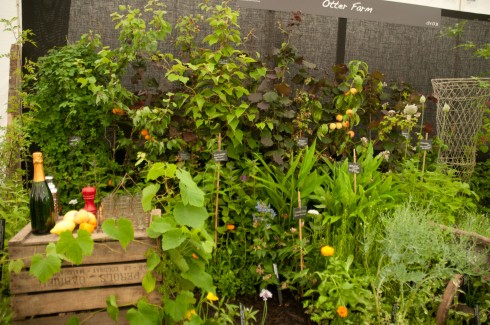 Mark Diacono's Otter Farm stand