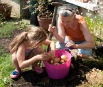 Julia with final potato&nbsp;haul