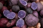 Purple potato cross&nbsp;section