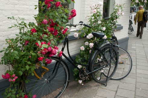 Streets of Amsterdam