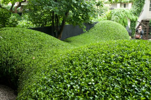 Sumptuous curves of Amsterdam