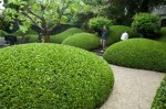 Sumptuously curvy hedging in Amsterdam&nbsp;2