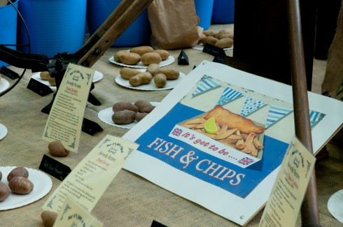 Pennard plants stall