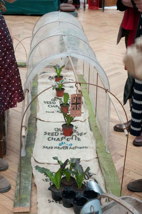 Plant belles rusty wire cloch supports with bamboo