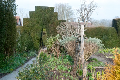 Yew hedging creating drama and defining differenet areas at Great Dixter