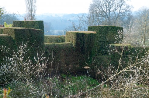 Yew hedging defining the gardens, March 2013,  at Great Dixter