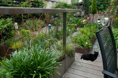 Raised beds in Deborah Nagan's garden