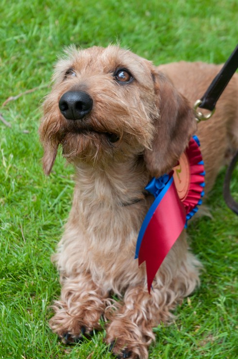 geoff winning 2nd Prize