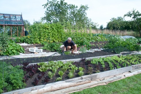 Charles Dowding at Homeacres