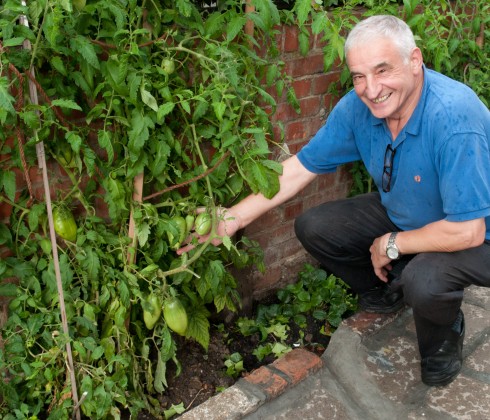 Maunuel with his fantasic tomatoes