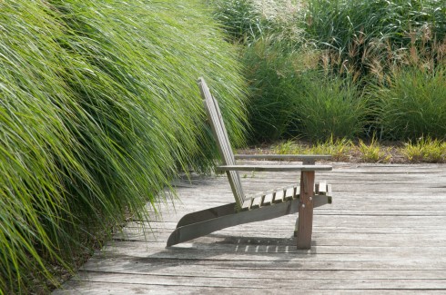 JP Autumn Garden, Miscanthus cloister