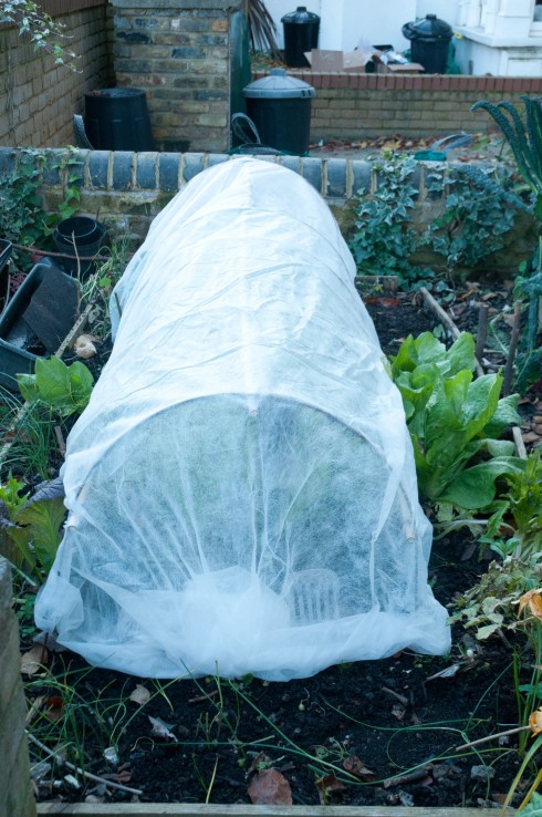 Mini cloche covered in fleece