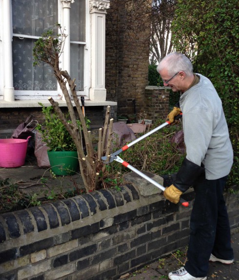 Cutting back baby elephant