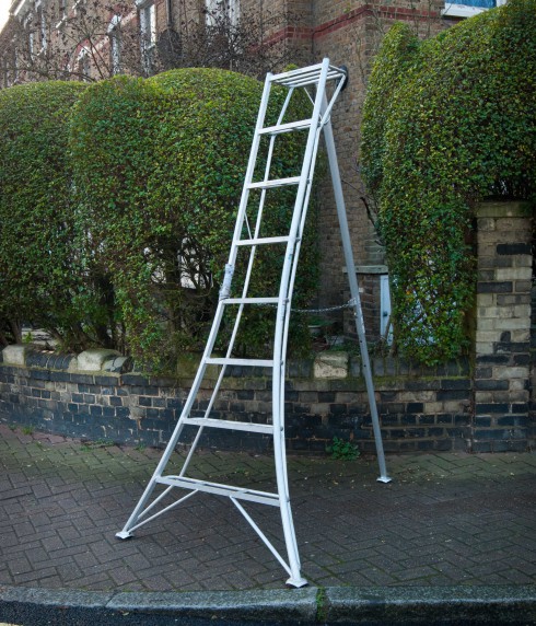 Niwaki Ladder by elephants