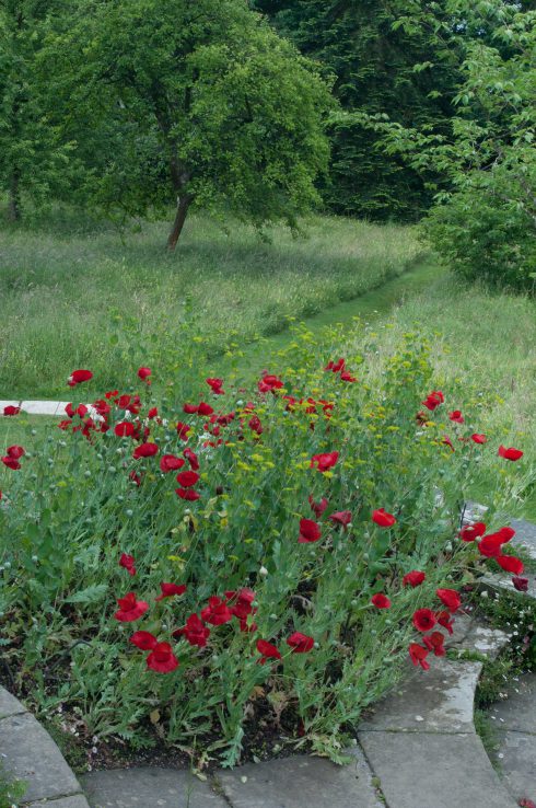 Wildflower meadows at Great Dixter 2