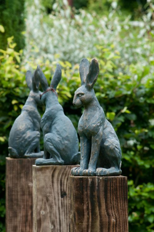 3-rabbits-at-bryans-ground