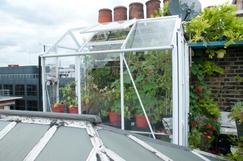 wendy-shillams-rooftop-mini-greenhouse