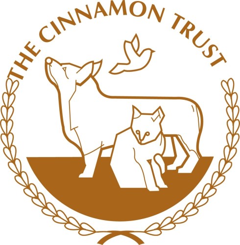 C-Trust logo.JPG