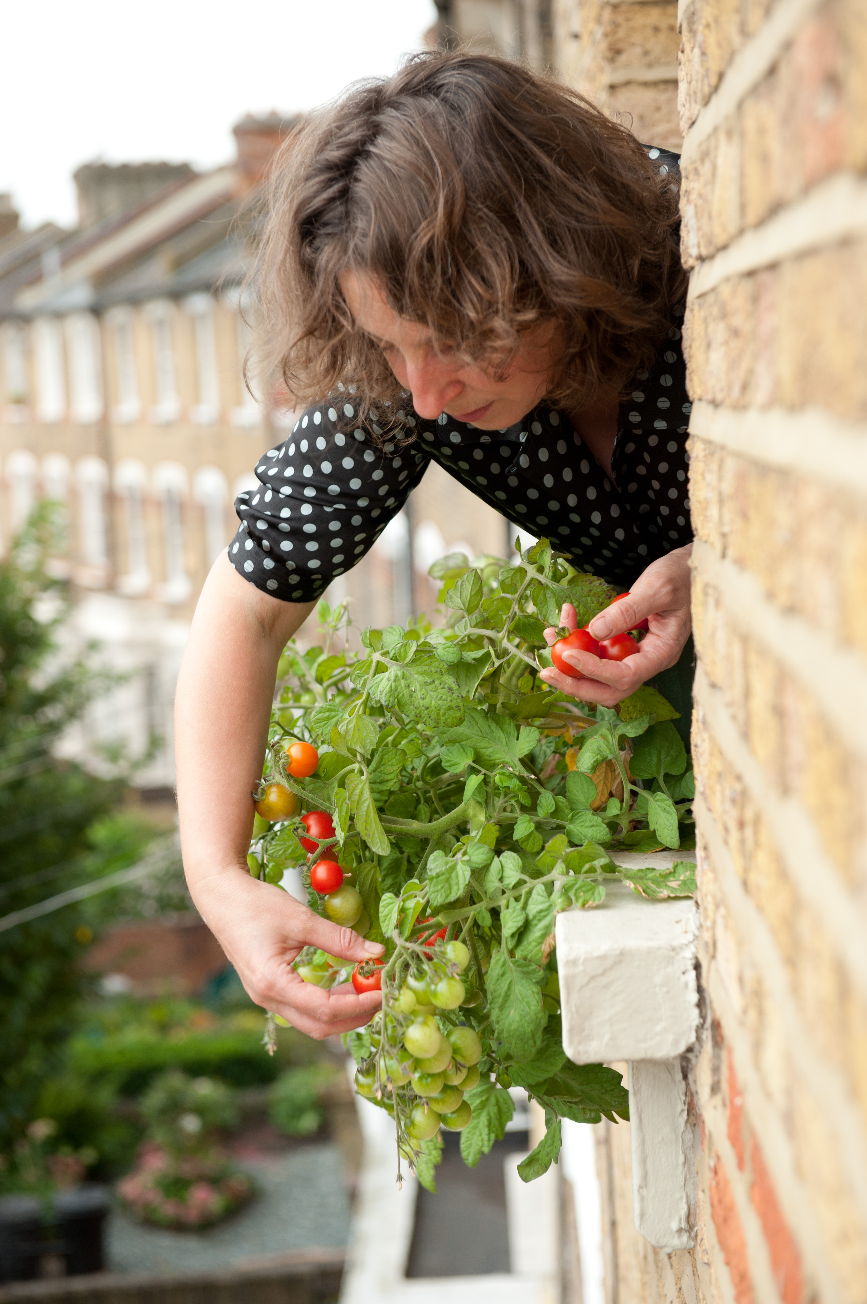 Hello there. Welcome to 'out of my shed'. It's a blog about gardening in London throughout the year, with a visit now and then to some fab gardens further afield